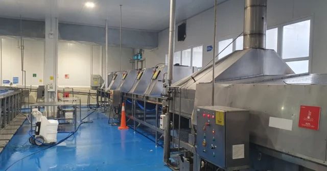 Cocedor y enfriador de pesca en planta Coronel